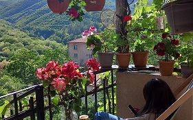 Cherqe Guest House