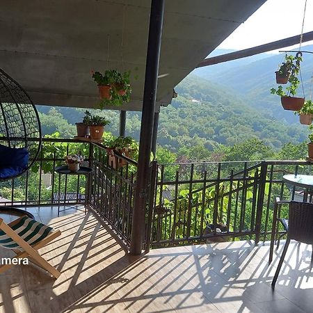 Cherqe Guest House Sighnaghi Extérieur photo