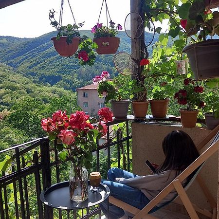 Cherqe Guest House Sighnaghi Extérieur photo
