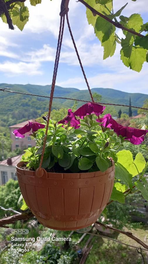 Cherqe Guest House Sighnaghi Extérieur photo