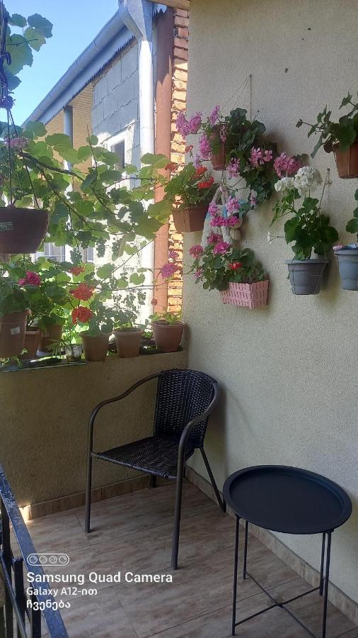Cherqe Guest House Sighnaghi Extérieur photo