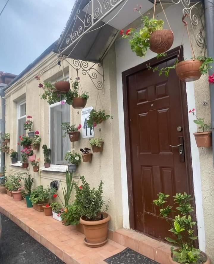 Cherqe Guest House Sighnaghi Extérieur photo