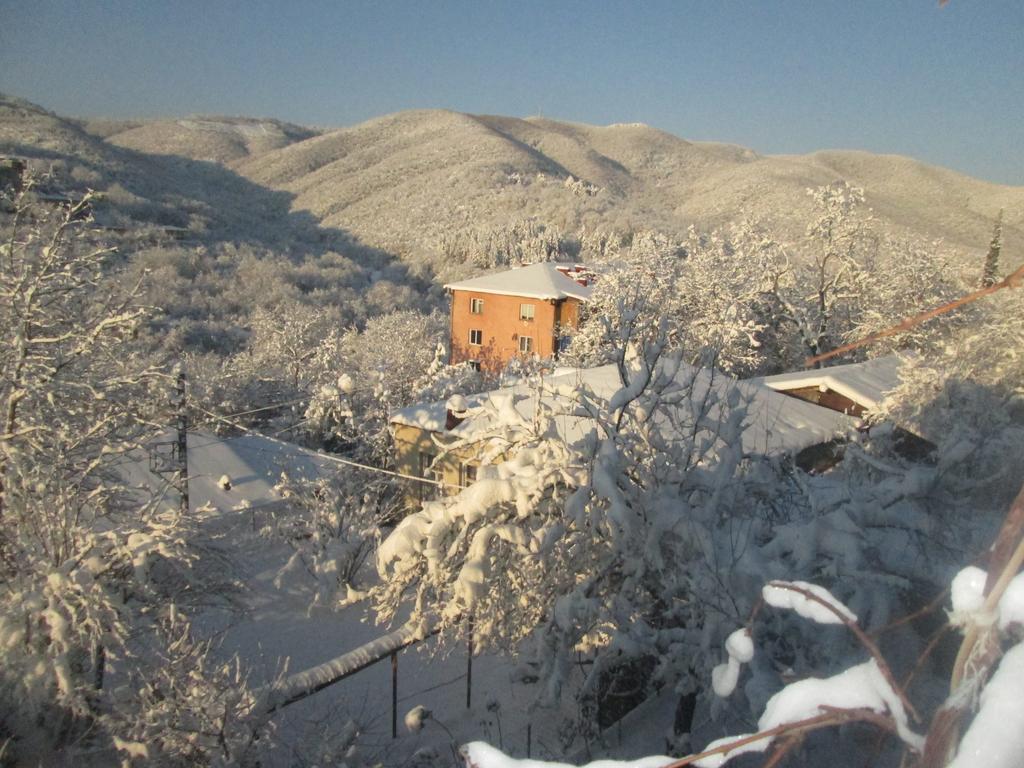 Cherqe Guest House Sighnaghi Extérieur photo