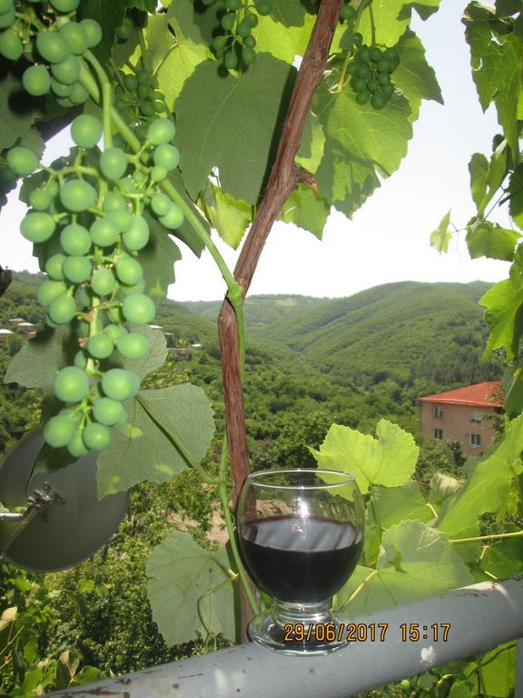 Cherqe Guest House Sighnaghi Extérieur photo